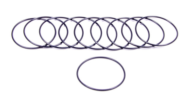 Filter O-Rings (10)