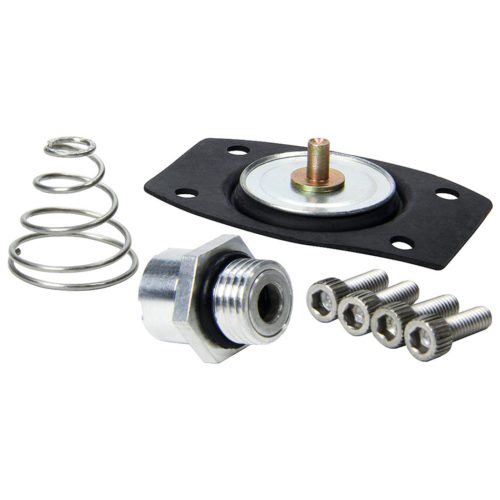 Allstar Performance Rebuild Kit for ALL40290