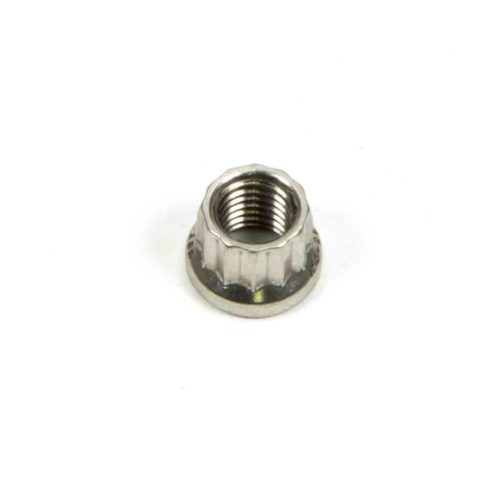 S/S 12pt. Nut - 1/4-28 (1)