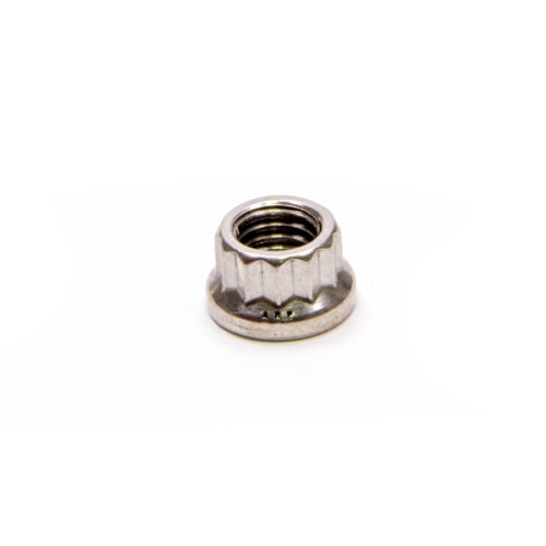 S/S 12pt. Nut - 8mm x 1.25 (1)