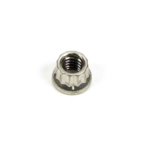 S/S 12pt. Nut - 1/4-20 (1)