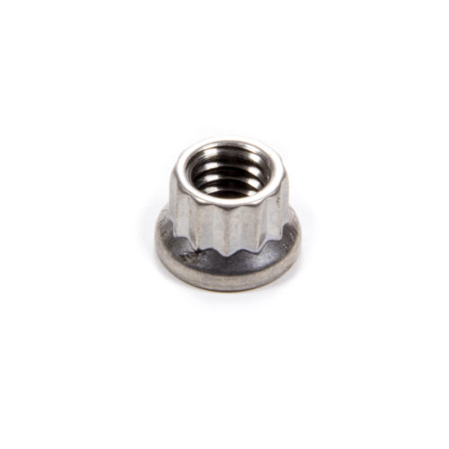 S/S 12pt. Nut - 5/16-18 (1)