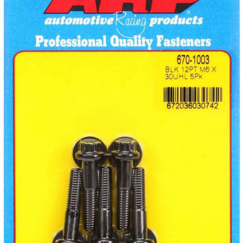 Bolt Kit - 12pt. (5) 6mm x 1.00 x 30mm