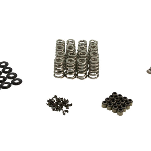 Valve Spring & Retainer Kit GM LS