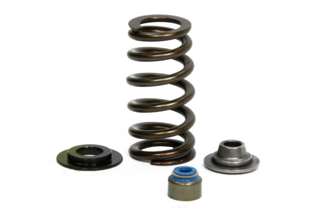 Valve Spring Kits - Ford 5.0L Coyote Engine