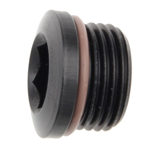 #8 Port Plug w/ Socket Hex