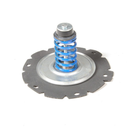Fuel Pump Diaphragm  Kit