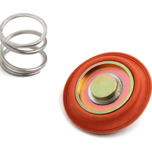 Rebuild Kit For Bypass Regulators 12-841/12-842
