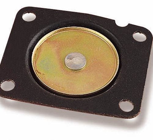 Acc. Pump Diaphragm 30cc Pump