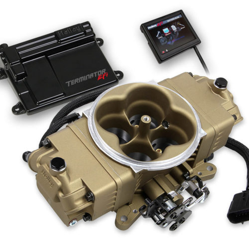Terminator Stealth EFI Master Kit Classic Gold