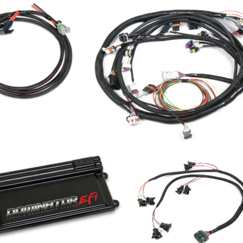 Dominator EFI Kit - LS2/LS3 Late Truck