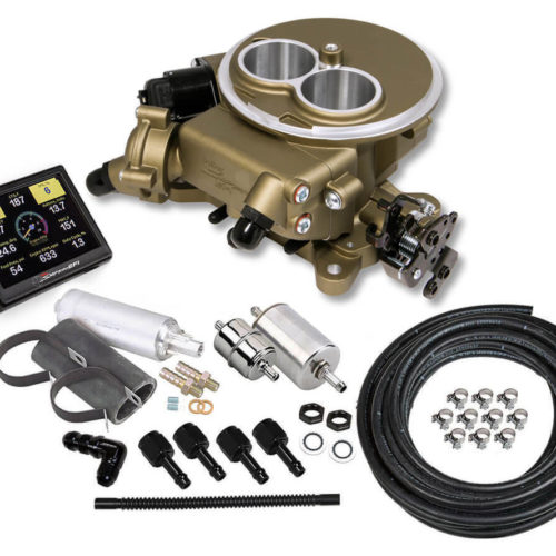 Sniper 2300 EFI Master Kit Gold Finish