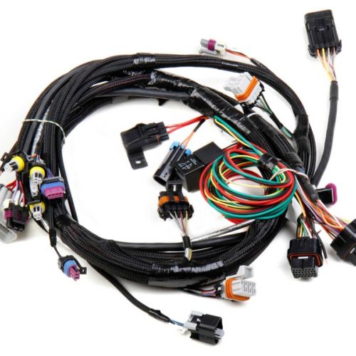 Main Wiring Harness LS1 & LS6