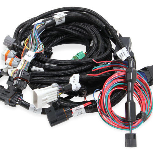 Main Harness 99-04 Ford Mod Motor w/Smart Coil