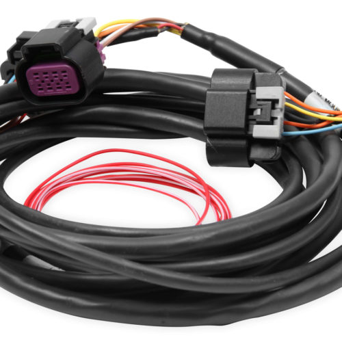 Dominator EFI DBW Harness - Early Truck