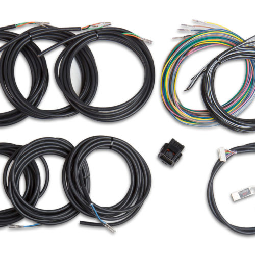 Wiring Harness - EFI Digital Dash I/O Adapter