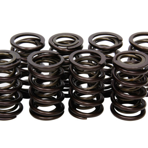 Valve Springs - Nissan SOHC