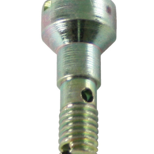 Squirter Screw-High Flow Gasoline