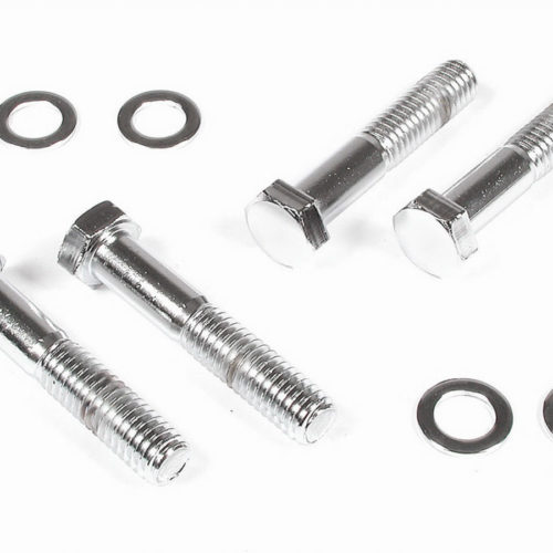 Chrome Water Pump Bolts
