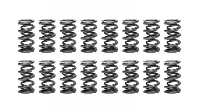 1.500 Dual Valve Springs - (16)