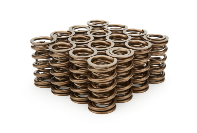 1.374 Dual Valve Springs - (16)