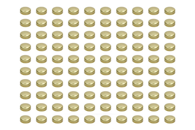 Expansion Plugs - 1-5/8 Brass (100pk)