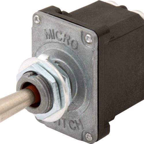 Switch Momentary On-Off- Momentary On