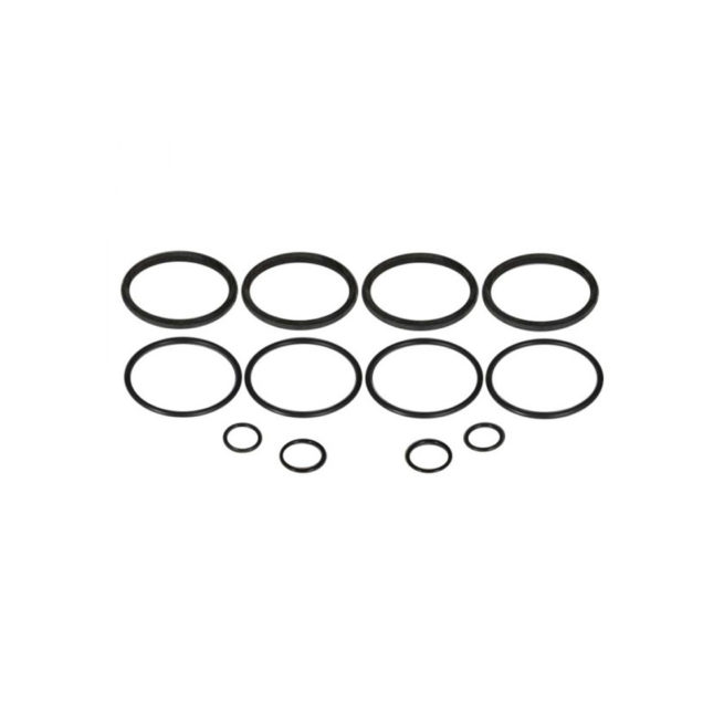 O-Ring Kit - for Early Strange 4-Piston Caliper